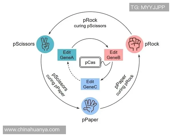 DOTA2焦点WE战术解析与团队协作策略深度剖析